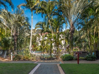 View of garden