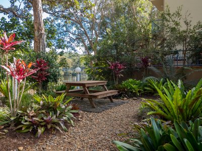 View of garden