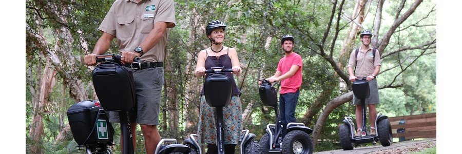 Segway Safari