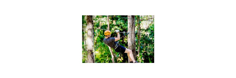 Tree Top Challenge Tree Top Challenge